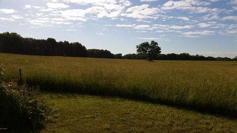 1370 S Custer Rd, Custer, MI 49405 photo 25