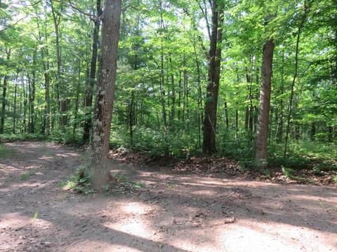 2634 N Wisner, White Cloud, MI 49349 photo 14