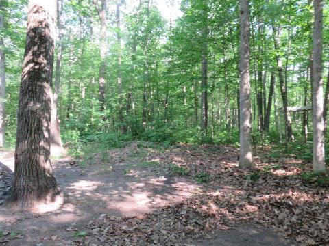 2634 N Wisner, White Cloud, MI 49349 photo 4