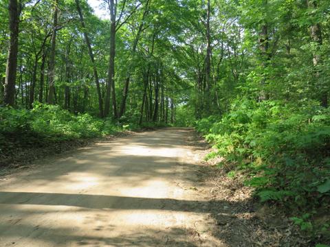2634 N Wisner, White Cloud, MI 49349 photo 20