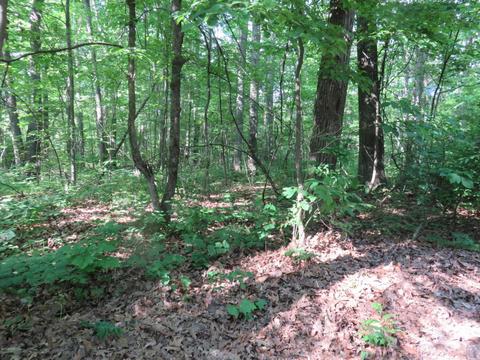2634 N Wisner, White Cloud, MI 49349 photo 18