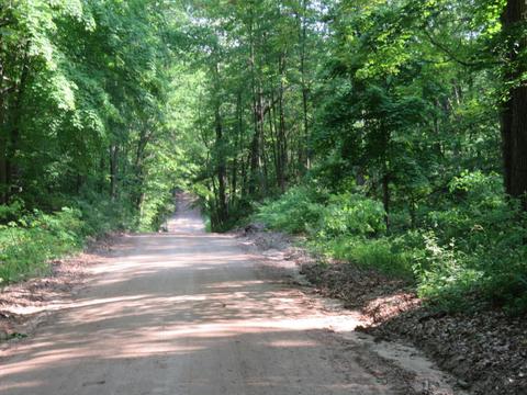 2634 N Wisner, White Cloud, MI 49349 photo 21