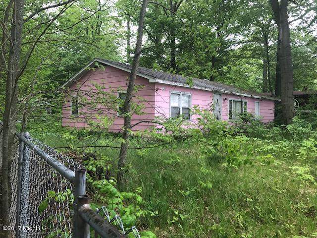 541 Beechwood Dr NW, Stanton, MI 48888 photo 3