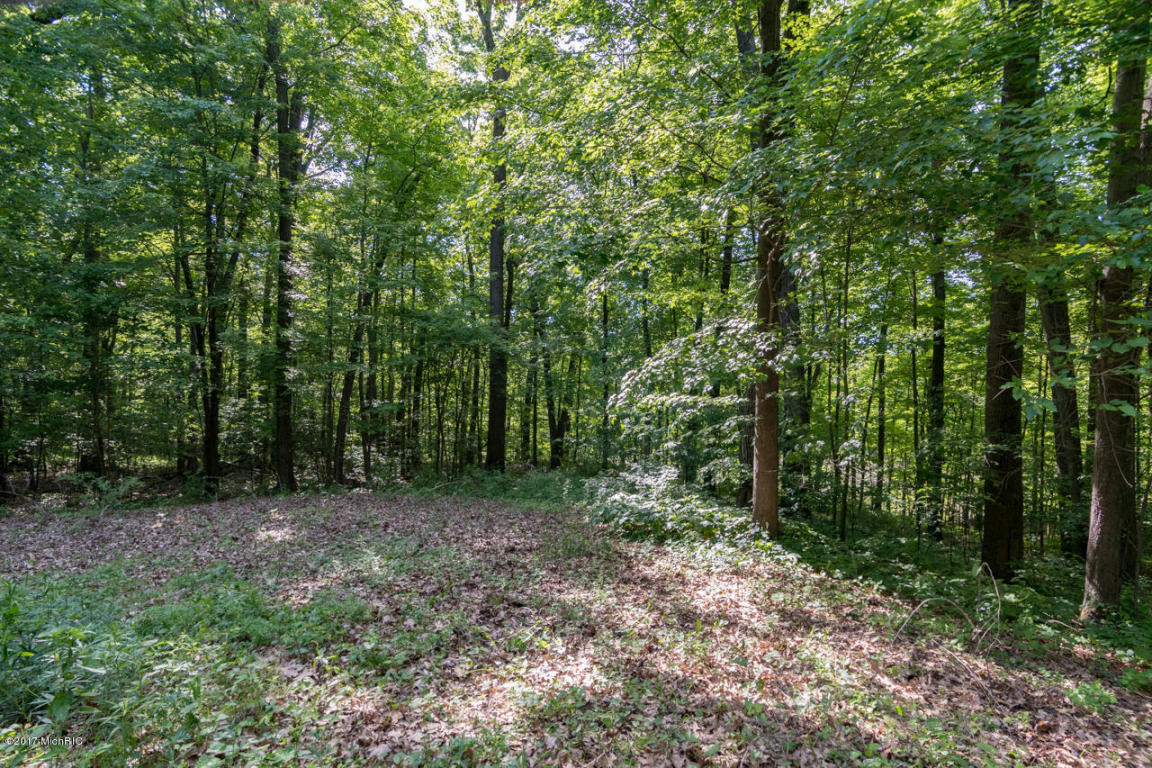 13213 Kane Rd, Plainwell, MI 49080 photo 21