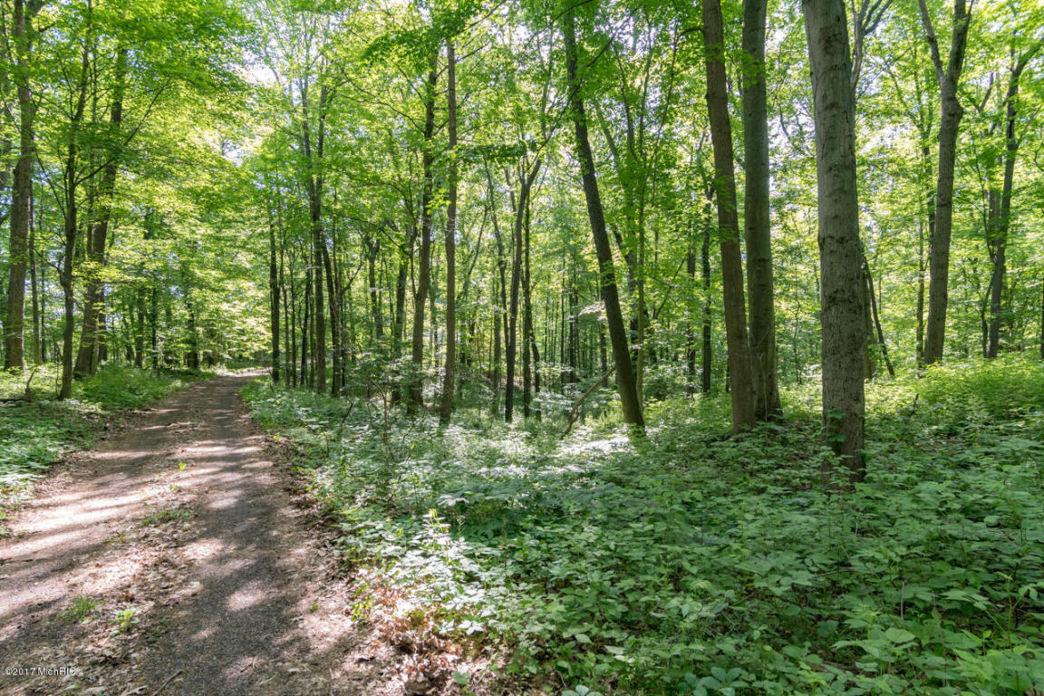 13213 Kane Rd, Plainwell, MI 49080 photo 23