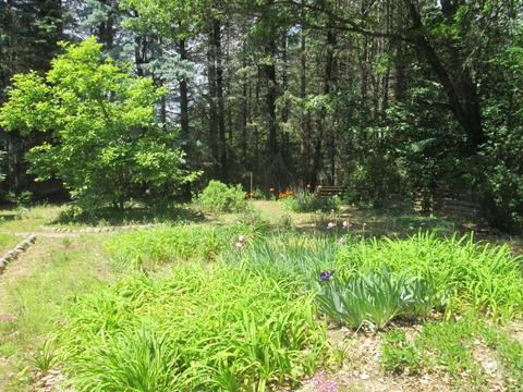 1780 E Maple Rapids Rd, Saint Johns, MI 48879 photo 13