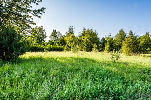4973 Bundy Rd, Coloma, MI 49038 photo 29