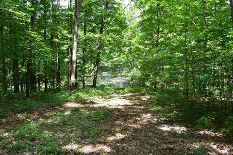 7870 E Yonker Rd, Hesperia, MI 49421 photo 29