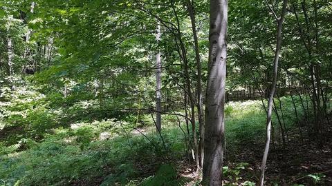 7870 E Yonker Rd, Hesperia, MI 49421 photo 33