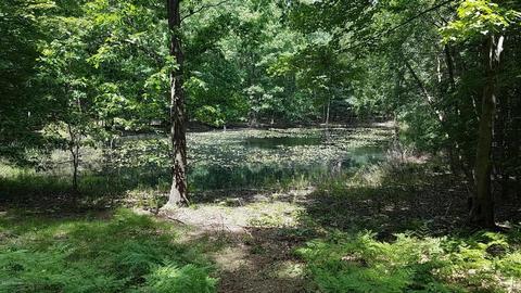 7870 E Yonker Rd, Hesperia, MI 49421 photo 30