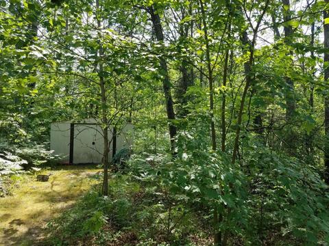 14100 Ruby Ln, Big Rapids, MI 49307 photo 12