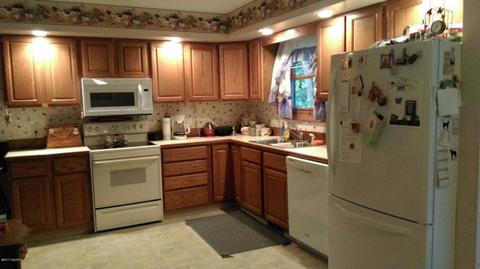 14100 Ruby Ln, Big Rapids, MI 49307 photo 6