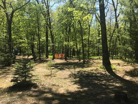 6839 W 68th St, Baldwin, MI 49304 photo 17