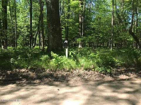 6839 W 68th St, Baldwin, MI 49304 photo 40