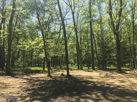 6839 W 68th St, Baldwin, MI 49304 photo 18