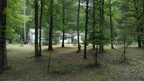 6839 W 68th St, Baldwin, MI 49304 photo 3