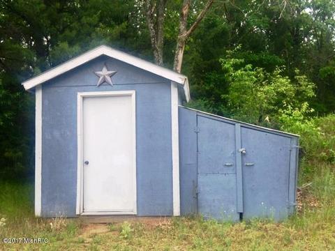 4698 M-37, Baldwin, MI 49304 photo 6