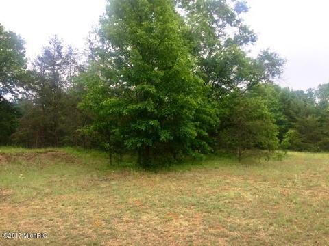 4698 M-37, Baldwin, MI 49304 photo 8