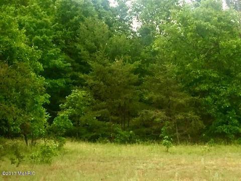 4698 M-37, Baldwin, MI 49304 photo 9