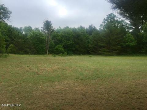 4698 M-37, Baldwin, MI 49304 photo 7