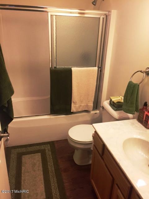 124 W Maple St, Muir, MI 48860 photo 11