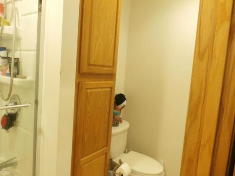 118 Gibson Pl, Jackson, MI 49202 photo 12