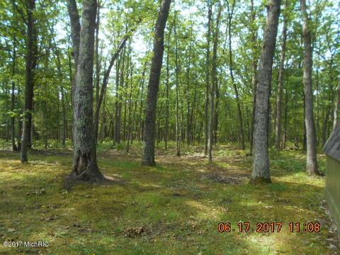 7809 Shoshone Trl, Branch, MI 49402 photo 3