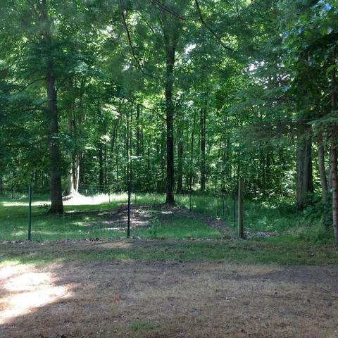 3060 140th Ave, Dorr, MI 49323 photo 4