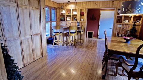3806 E Shore Dr, Stanton, MI 48888 photo 18