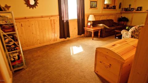 3806 E Shore Dr, Stanton, MI 48888 photo 44