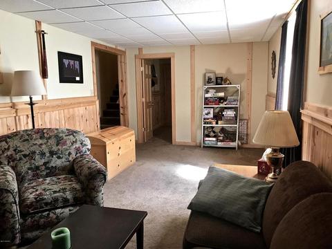 3806 E Shore Dr, Stanton, MI 48888 photo 47