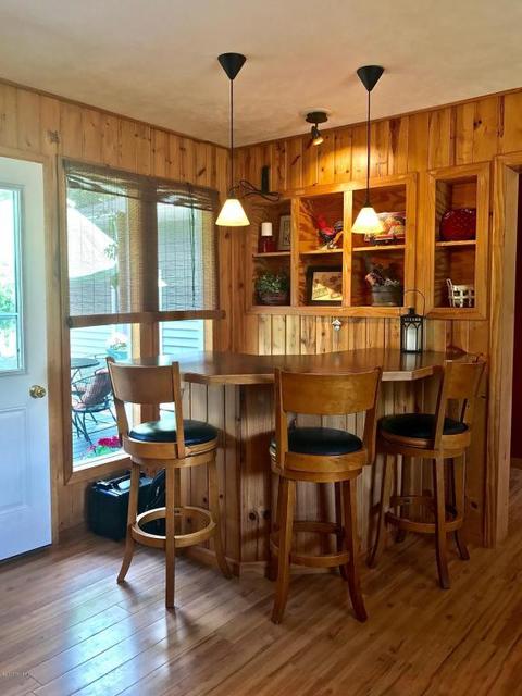 3806 E Shore Dr, Stanton, MI 48888 photo 37