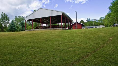 3806 E Shore Dr, Stanton, MI 48888 photo 63
