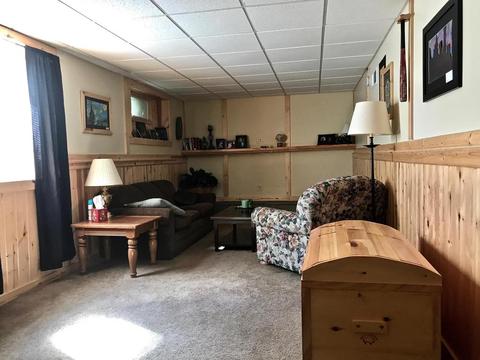 3806 E Shore Dr, Stanton, MI 48888 photo 46