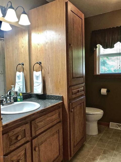 3806 E Shore Dr, Stanton, MI 48888 photo 74
