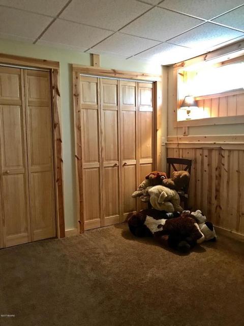 3806 E Shore Dr, Stanton, MI 48888 photo 59