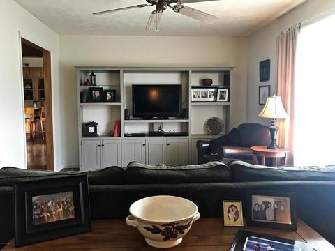 3806 E Shore Dr, Stanton, MI 48888 photo 24