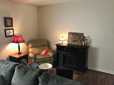 3806 E Shore Dr, Stanton, MI 48888 photo 29