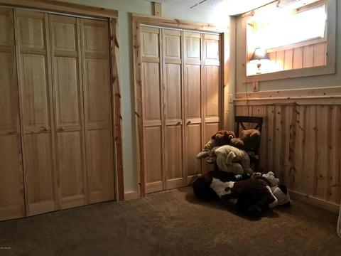3806 E Shore Dr, Stanton, MI 48888 photo 60