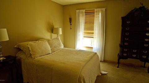 3806 E Shore Dr, Stanton, MI 48888 photo 48