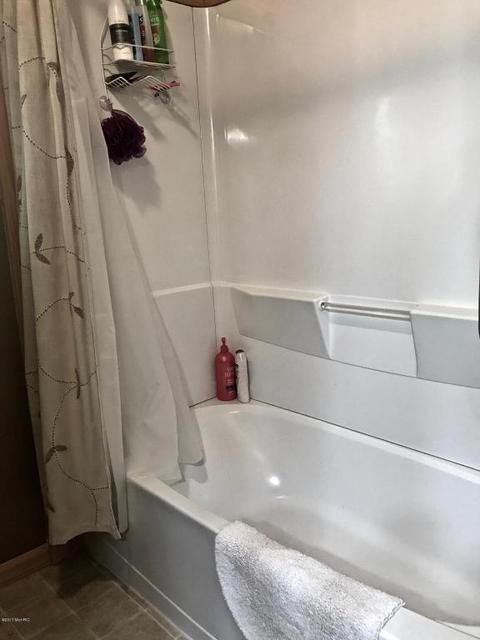 3806 E Shore Dr, Stanton, MI 48888 photo 75