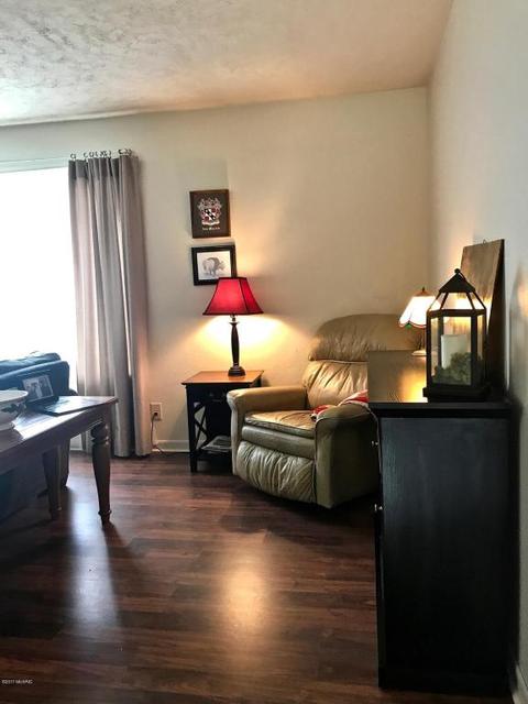 3806 E Shore Dr, Stanton, MI 48888 photo 20