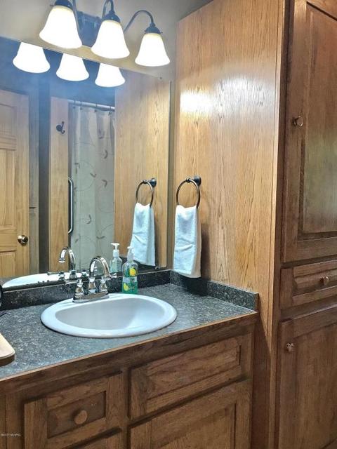 3806 E Shore Dr, Stanton, MI 48888 photo 73