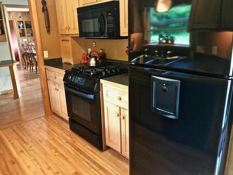 3806 E Shore Dr, Stanton, MI 48888 photo 12