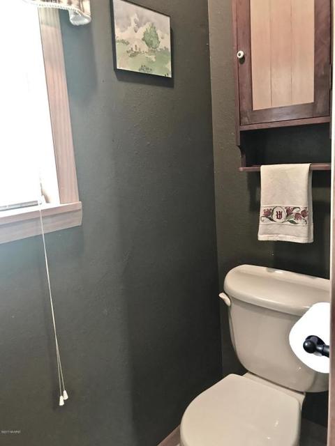 3806 E Shore Dr, Stanton, MI 48888 photo 77