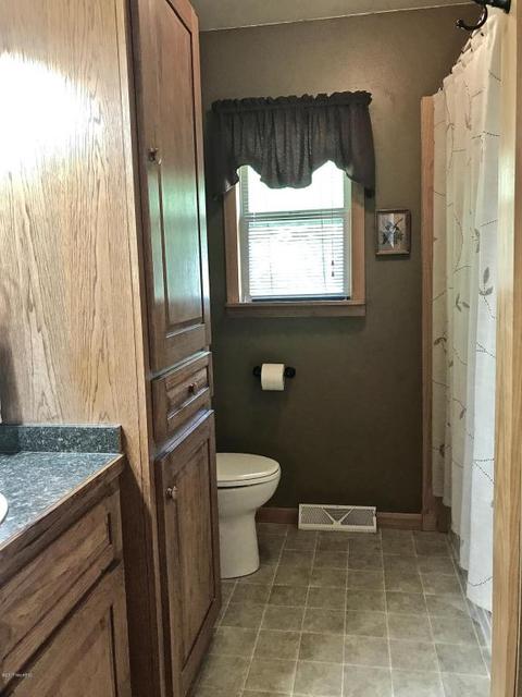 3806 E Shore Dr, Stanton, MI 48888 photo 72