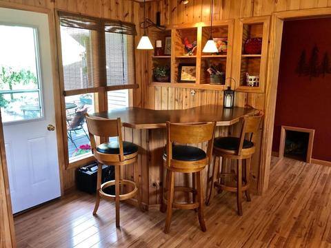 3806 E Shore Dr, Stanton, MI 48888 photo 39