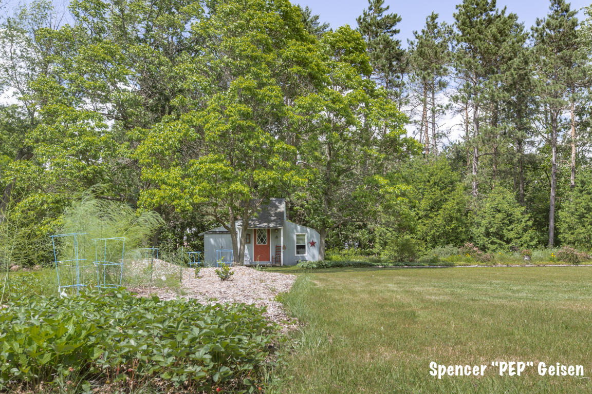 8074 First St, Stanton, MI 48888 photo 20