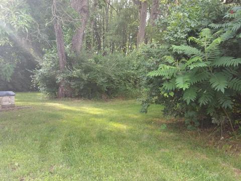 16099 E B Ave, Augusta, MI 49012 photo 46