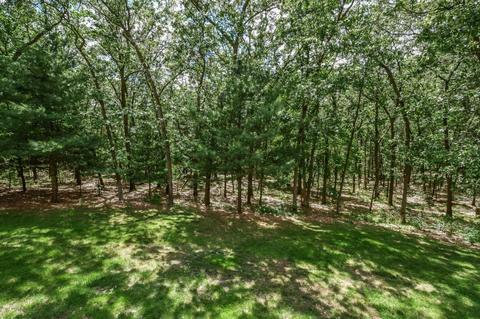 350 Greentree Ln NE, Ada, MI 49301 photo 39